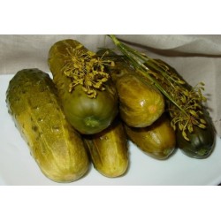 graines de Cornichon polonais F1