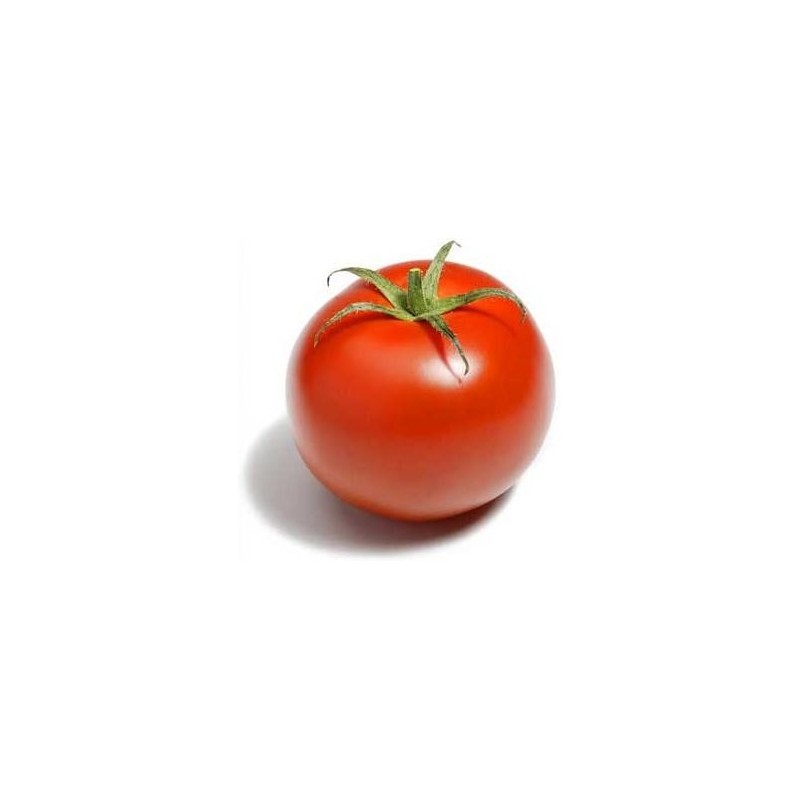 graines de Tomates Classiques F1