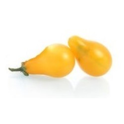 graines de Tomate poire jaune