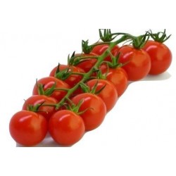 graines de Tomate Cerise