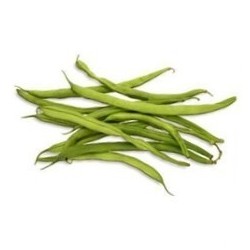 graines d'Haricots verts