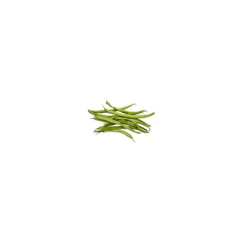 graines d'Haricots verts