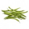 graines d'Haricots verts