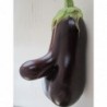 graines d'Aubergine