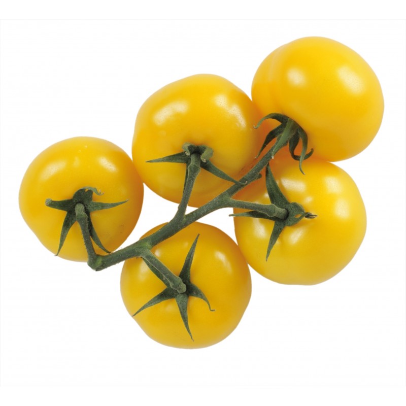 graines de Tomates Cerises Jaune Ola Polka