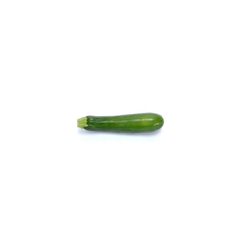 graines de Courgette Verte (Soraya)