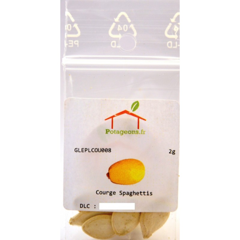 20 Graines De Courge Spaghetti Portsionnyy - Légume Original à Chair Filandreuse - Pour Potager Maison
